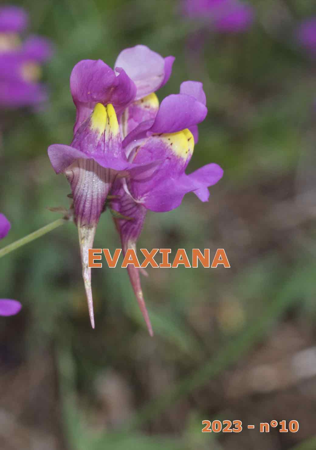 Evaxiana n°10