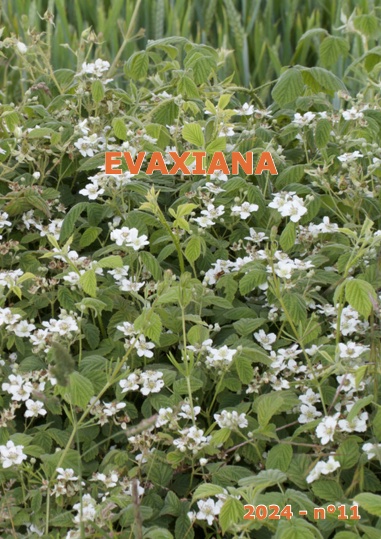 Evaxiana n°11